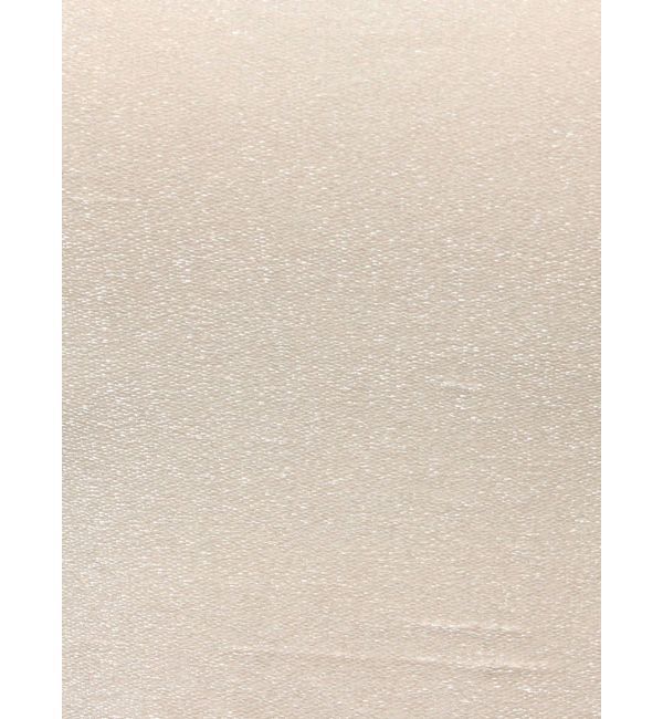 EVRIS「ラメクロップドキャミソール」|キャミソール|