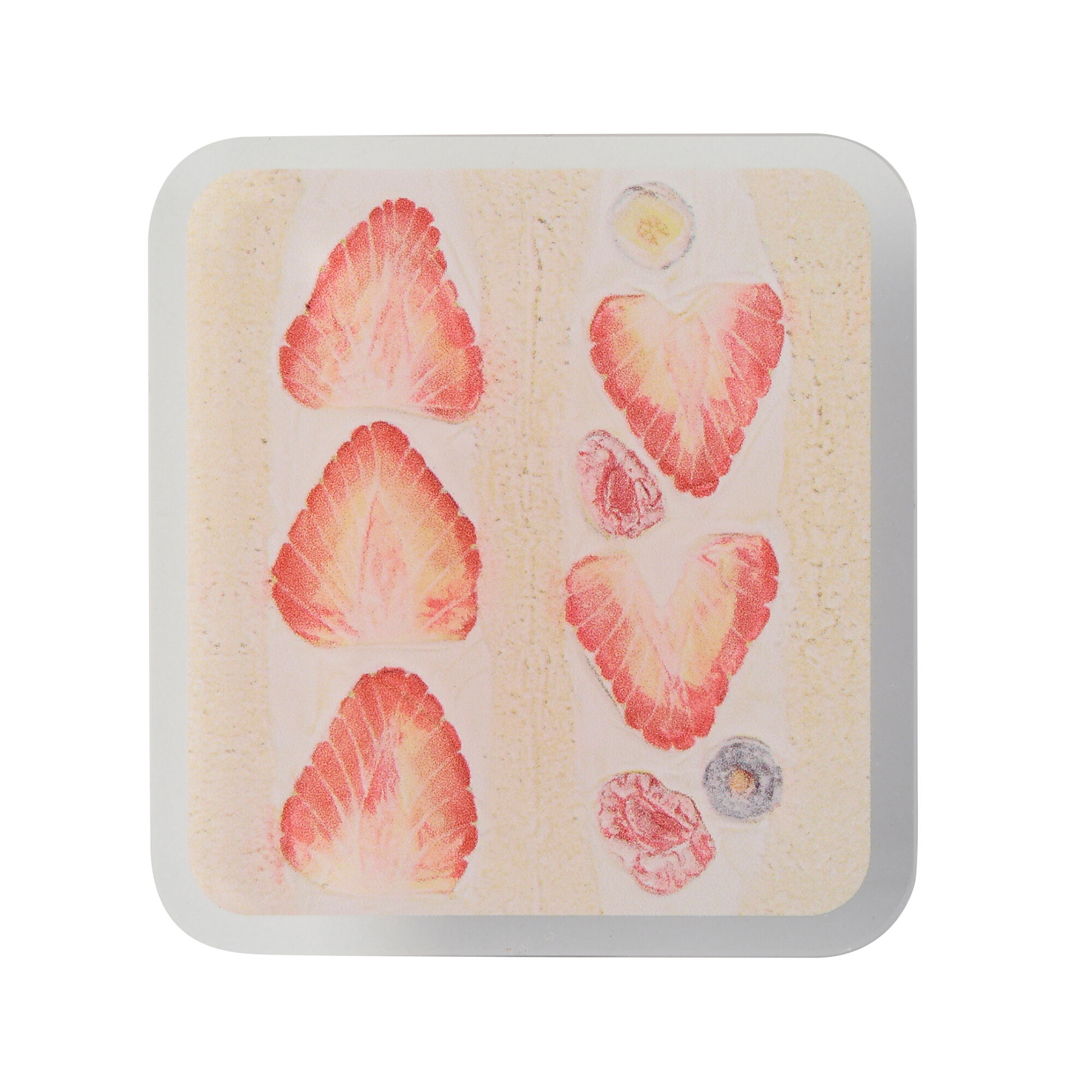  「アクリルクリップ／タカハシナツミ」|ステーショナリー|B