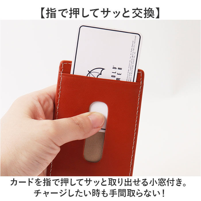 BACKYARD FAMILY「アーノルドパーマー パスケース ArnoldPalmer 4AP3283 通販」|定期入れ|