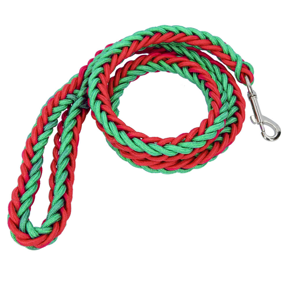 BACKYARD FAMILY「リード 犬 通販 小型犬 中型犬 大型犬 切れない イヌ いぬ 犬用リード 太め 握りやすい 軽量」|その他|レッド3