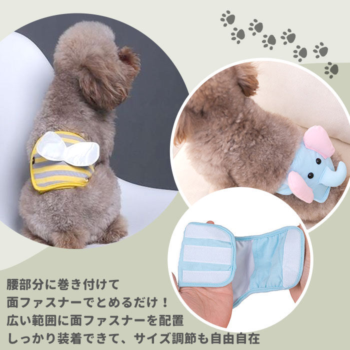 BACKYARD FAMILY「犬 マナーパンツ オス 通販 マナーウェア マナーパッド マナーパット 男の子 小型犬 中型犬」|その他|