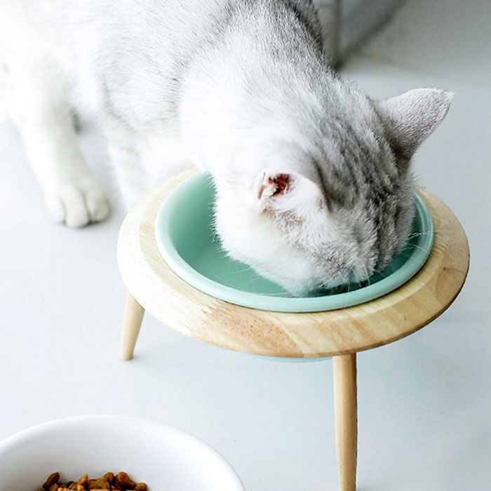 BACKYARD FAMILY「フードボウル 高さがある 通販 猫 犬 木製 陶器 高さ調整 フードボール フードスタンド」|その他|