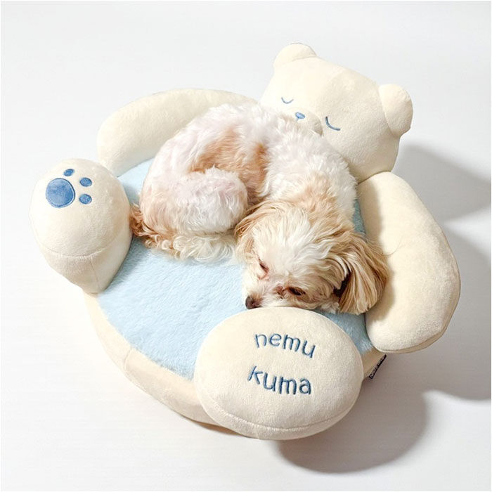 BACKYARD FAMILY「ペットベッド 通販 ペット ベッド 犬 カドラー 猫 クッション 猫ベッド ネコベッド 小型犬」|その他|