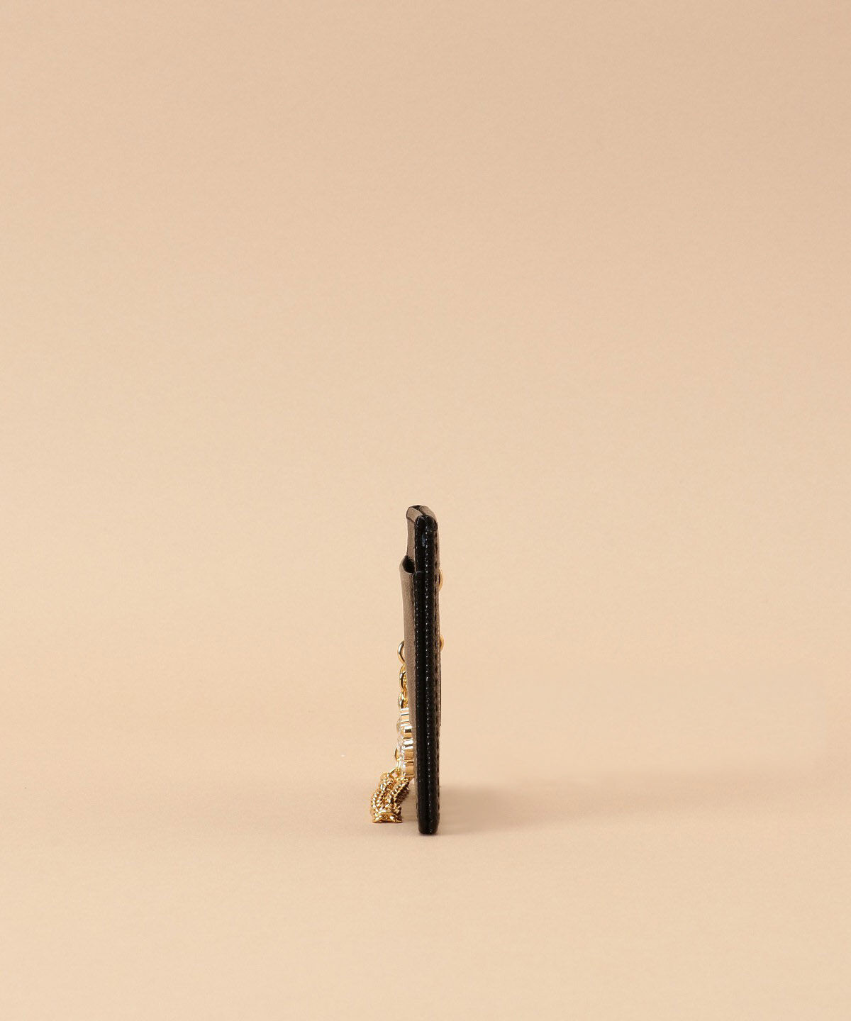 Samantha Thavasa「ラメレザービジュー パスケース」|定期入れ|