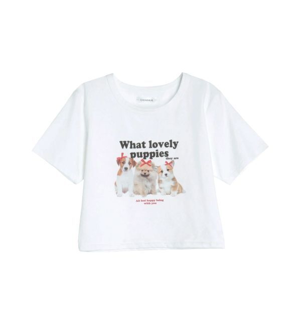 CALNAMUR「ASSORT PRINT TEE/アソートプリントTシャツ」|Tシャツ・カットソー|