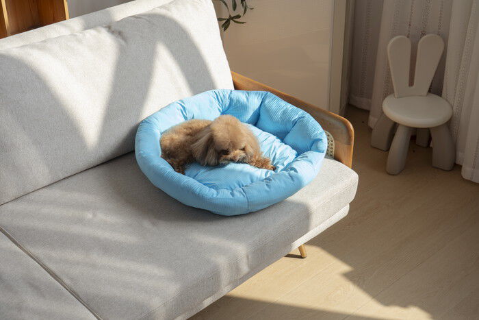 BACKYARD FAMILY「ペットベット ひんやり 通販 ラウンドペットベッド ラウンド ペットマット クールパッド」|その他|