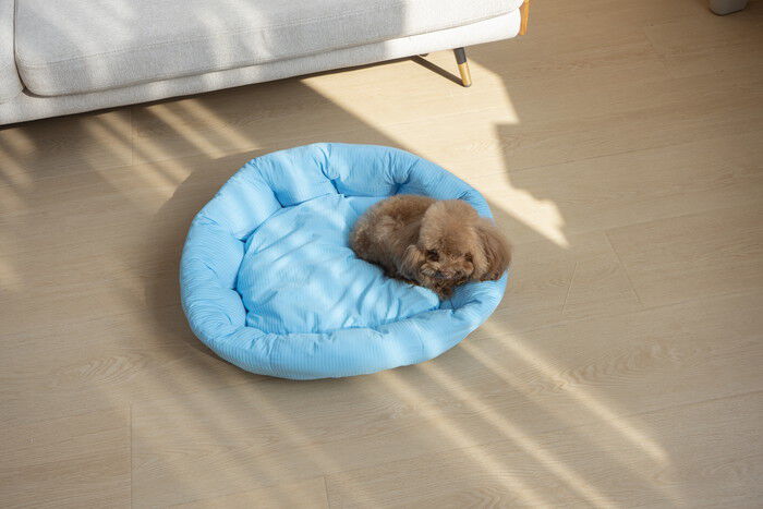 BACKYARD FAMILY「ペットベット ひんやり 通販 ラウンドペットベッド ラウンド ペットマット クールパッド」|その他|