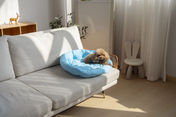 BACKYARD FAMILY「ペットベット ひんやり 通販 ラウンドペットベッド ラウンド ペットマット クールパッド」|その他|