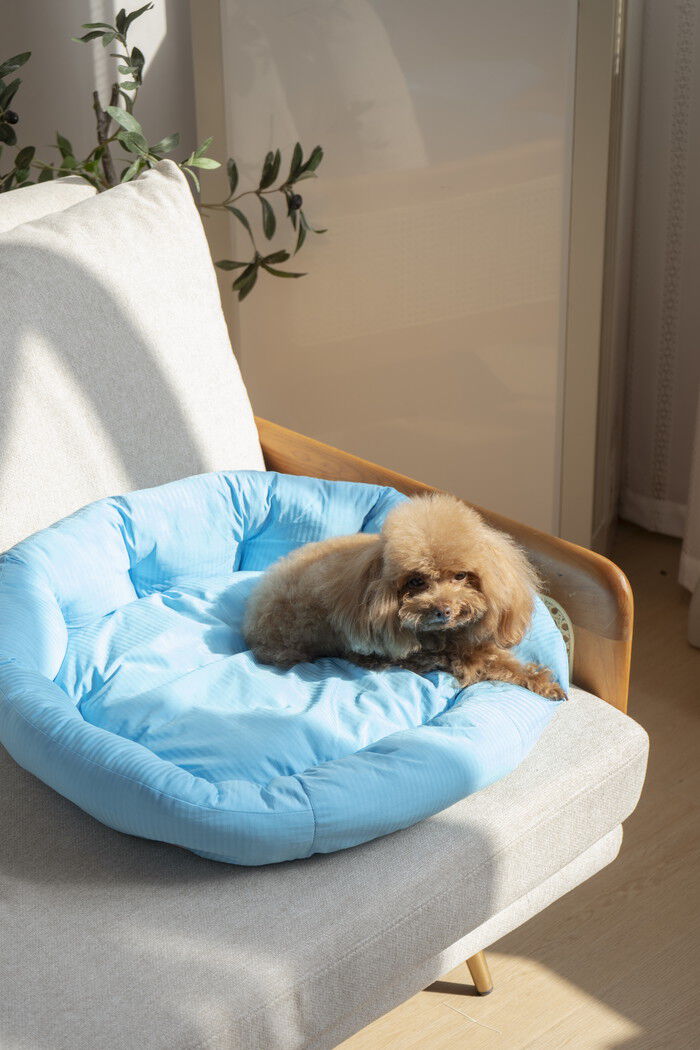 BACKYARD FAMILY「ペットベット ひんやり 通販 ラウンドペットベッド ラウンド ペットマット クールパッド」|その他|