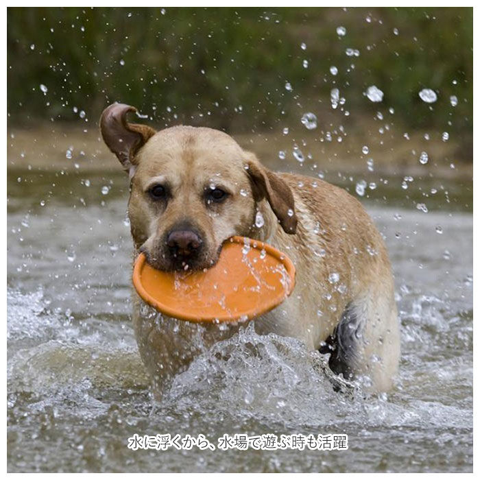 BACKYARD FAMILY「フリスビー 犬 通販 ペット ディスク 柔らかい 投げる玩具 トレーニング ペット おもちゃ」|その他|