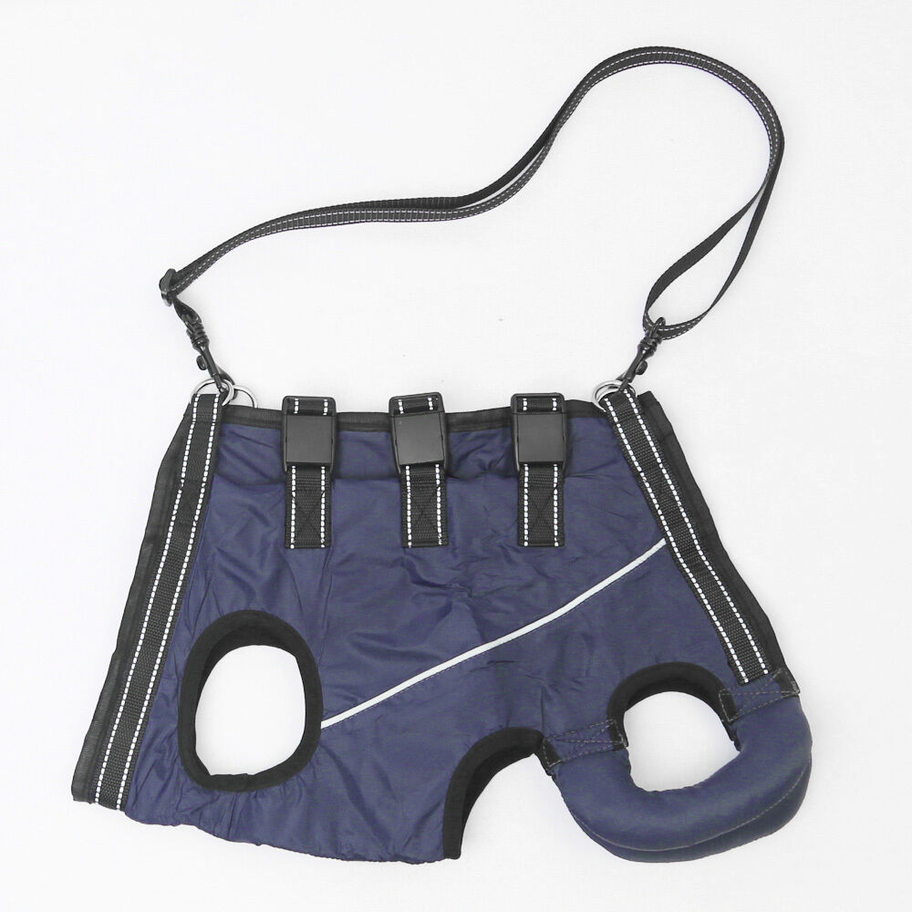 BACKYARD FAMILY「犬 ハーネス 介護用 通販 介護用ハーネス 歩行補助ハーネス 犬用ハーネス 歩行補助 全身サポート」|その他|ブルー1