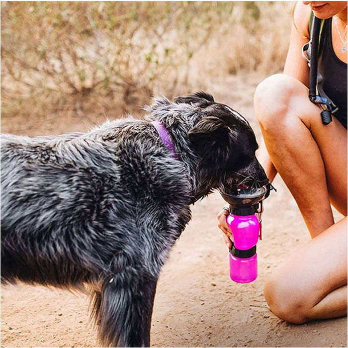 BACKYARD FAMILY「犬 水飲み 散歩 通販 水入れ 皿付き 水筒 ウォーターボトル 携帯水筒 水飲み器 ボウル ボトル」|その他|