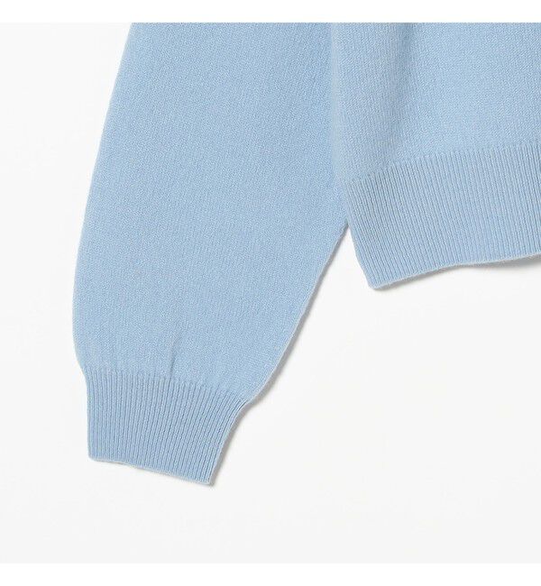 Ray BEAMS 「DANTON / WOMEN'S LAMBSWOOL CREW NECK KNIT PULLOVER(1307CL)」|ニット・セーター|