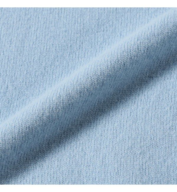 Ray BEAMS 「DANTON / WOMEN'S LAMBSWOOL CREW NECK KNIT PULLOVER(1307CL)」|ニット・セーター|