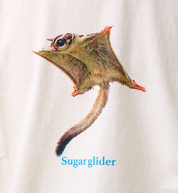 GLOSTER「【大人も着やすい】リアルアニマル プリントTシャツ」|Tシャツ・カットソー|