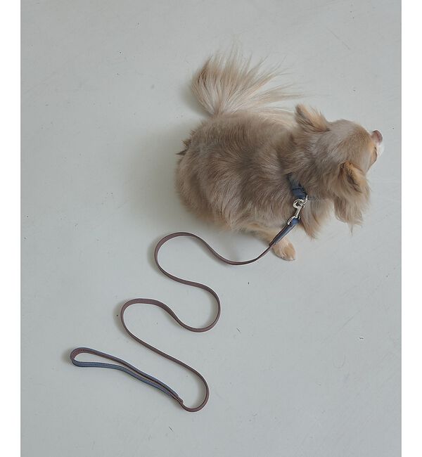 LOWELL things「MATIE/小型犬/ショートリード【Direction by  有末 麻祐子】」|その他|ブラウン