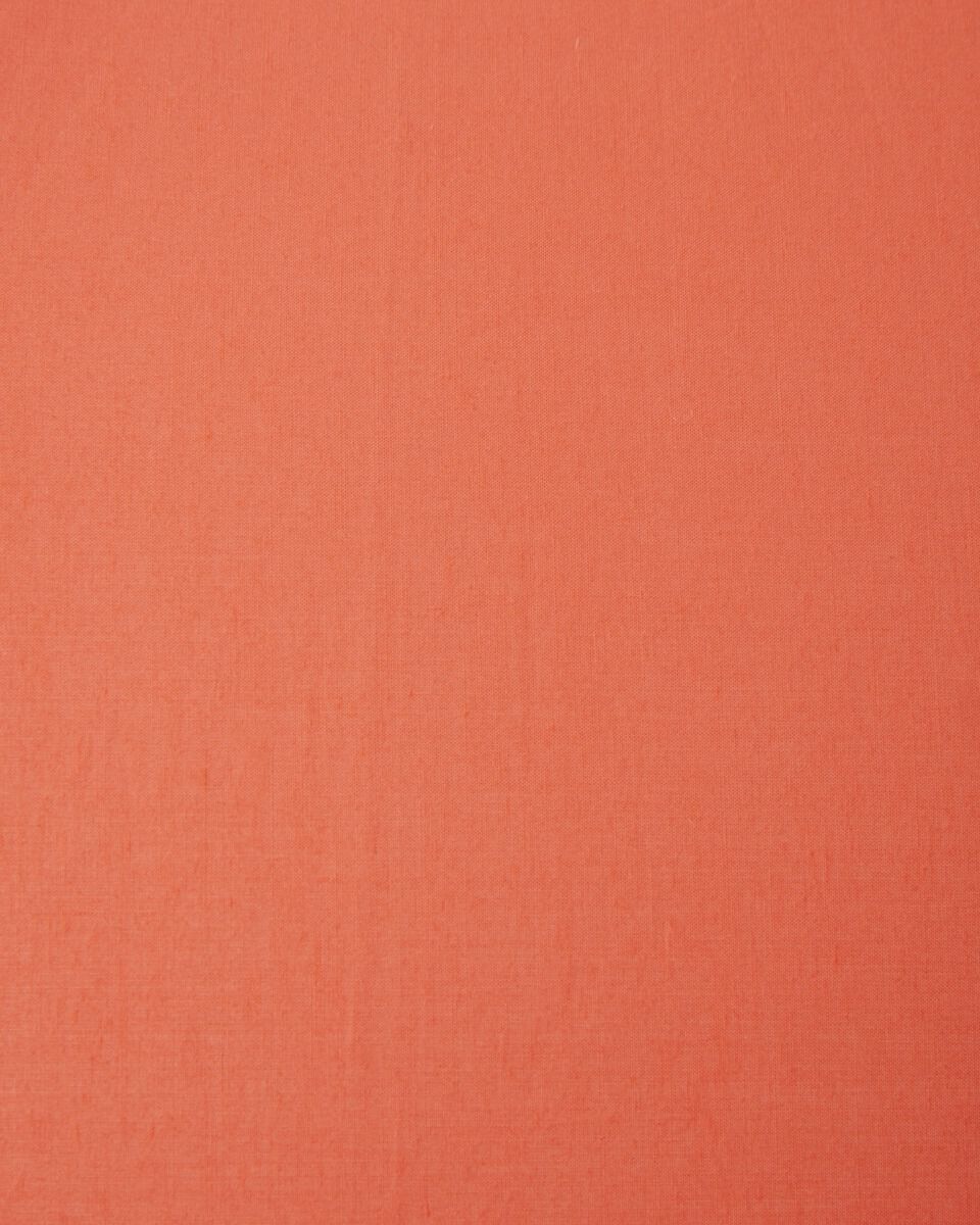 Traditional Weatherwear「UMBRELLA BAMBOO」|傘|