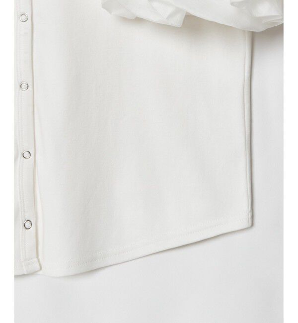 allureville「フライスコンビボリュームスリーブプルオーバー」|Tシャツ・カットソー|