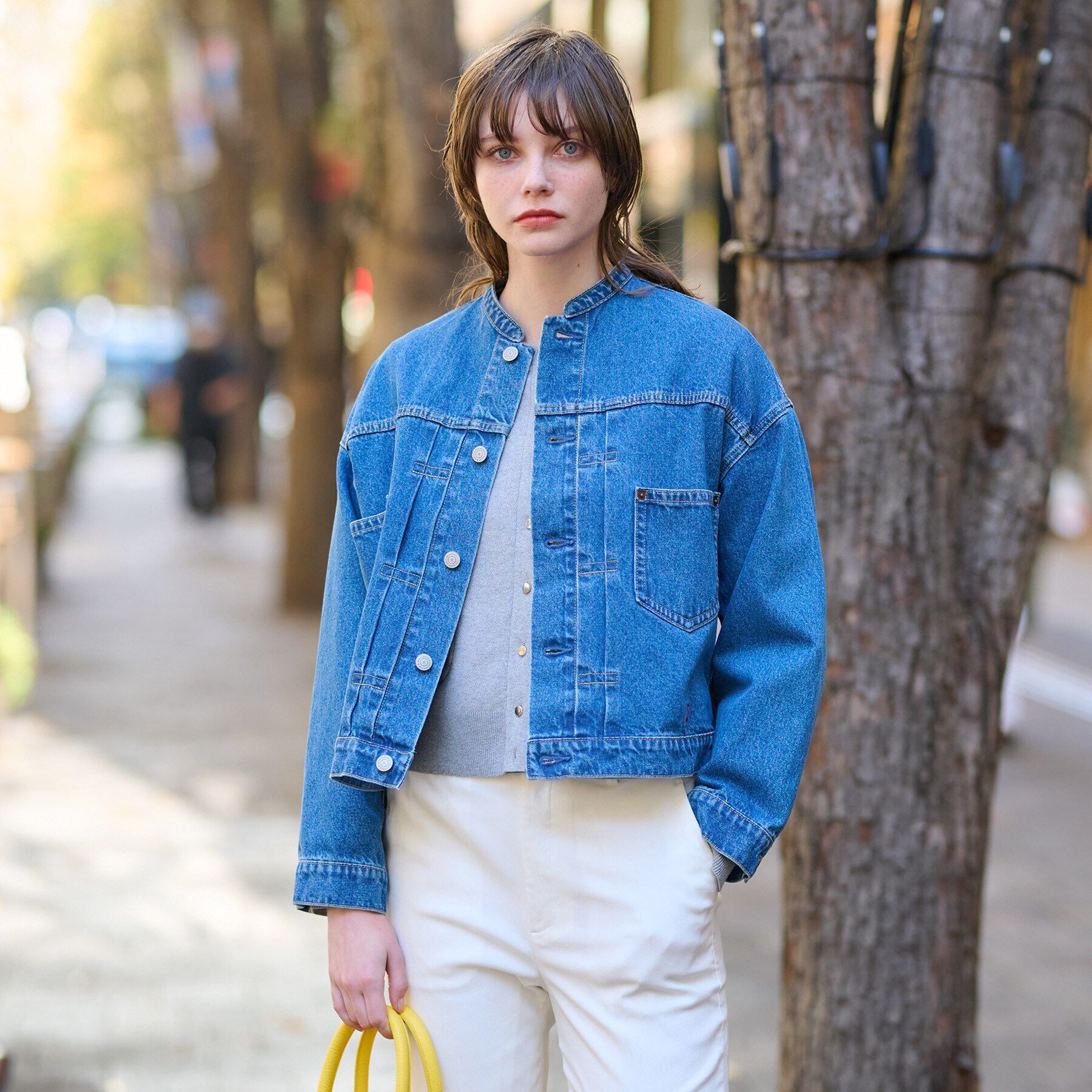 DRESSTERIOR「ヴィンテージバンドカラーGジャン」|デニムジャケット|