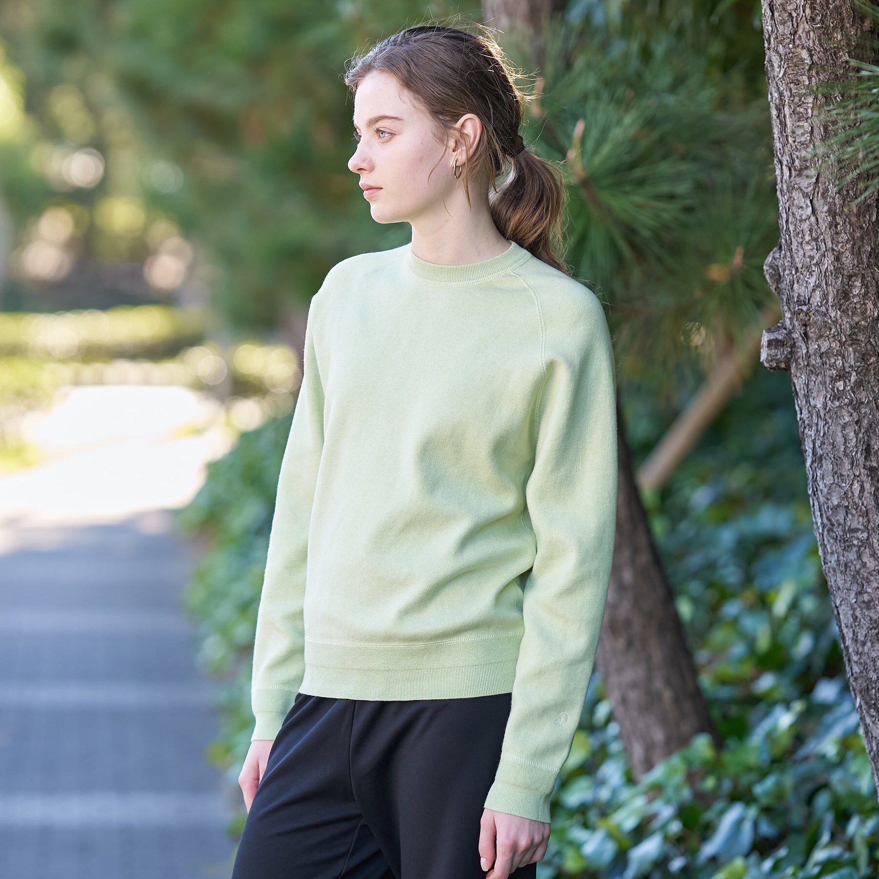 DRESSTERIOR「ウォッシャブルコットンカシミヤプルオーバーニット」|ニット・セーター|