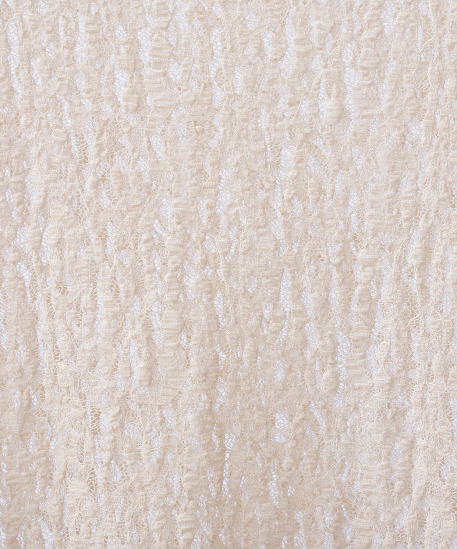  「〈N.〉 レースカットソー」|Tシャツ・カットソー|