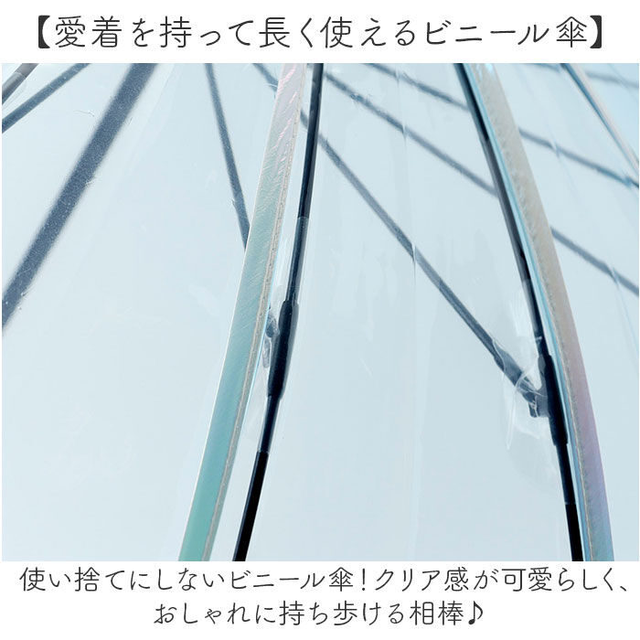 BACKYARD FAMILY「wpc ワールドパーティ ビニール傘 レディ－ス 通販 長傘 雨傘 傘 かさ カサ アンブレラ」|傘|