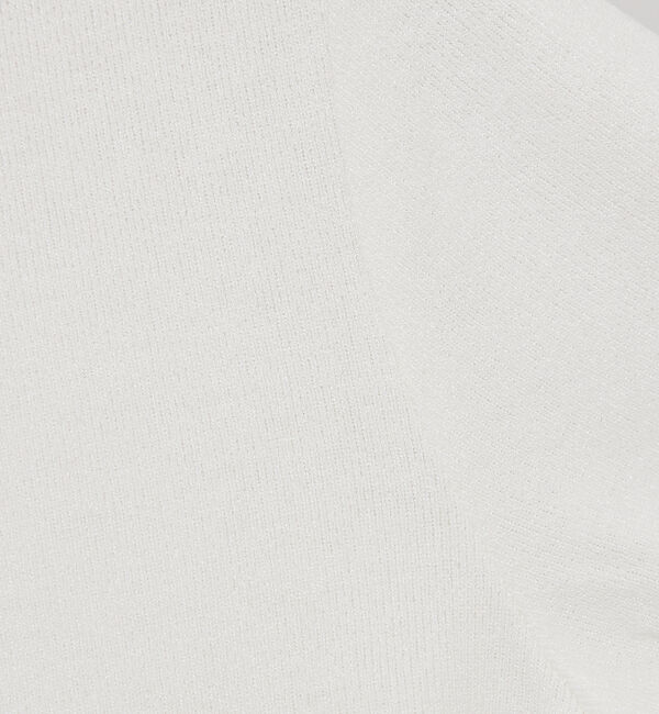 abahouse mavie「メロウハイネックプルオーバー」|Tシャツ・カットソー|