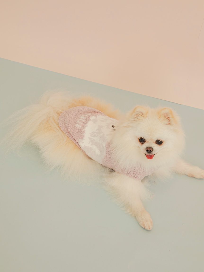  GELATO PIQUE CAT&DOG「【CAT&DOG】ポメラニアジャガードプルーバー」|その他|