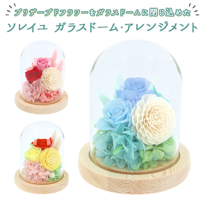 BACKYARD FAMILY「お供え プリザーブドフラワー ガラスドーム 通販 ソレイユ アレンジメント 供養 仏花 供え花」|その他|