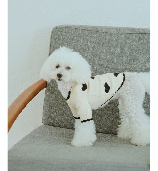 ROPE PICNIC PASSAGE「【DOG】ランダムハートニット」|その他|