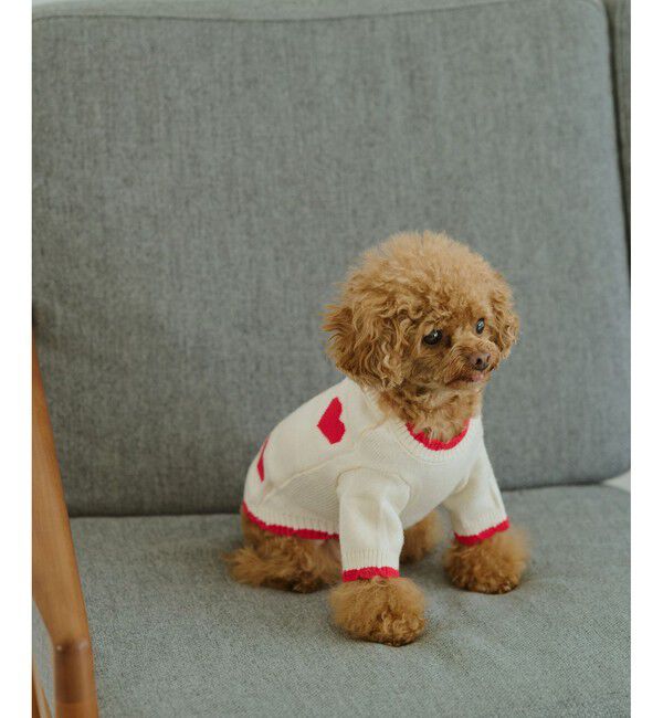 ROPE PICNIC PASSAGE「【DOG】ランダムハートニット」|その他|