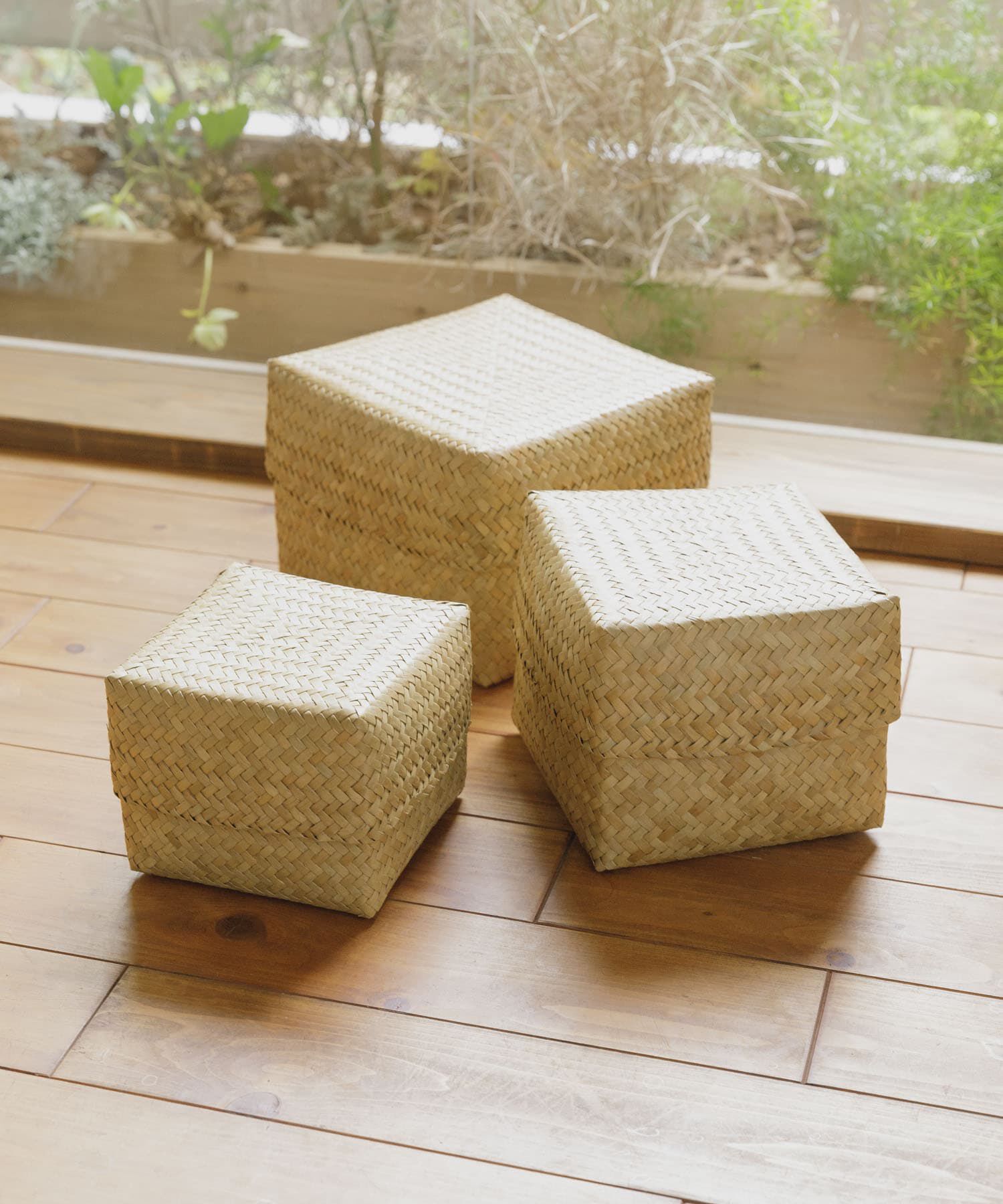 URBAN RESEARCH DOORS「『WEB限定』サイアム　カチュー水草ふた付き四角BOX S」|その他|