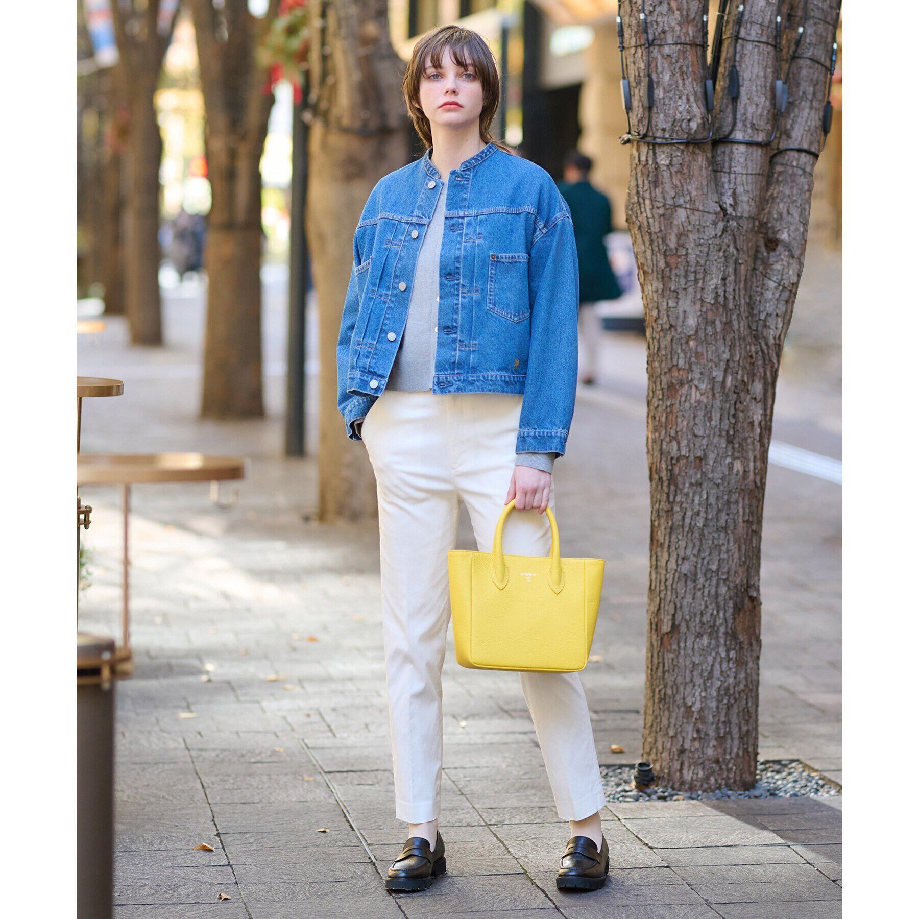 DRESSTERIOR「ヴィンテージバンドカラーGジャン」|デニムジャケット|