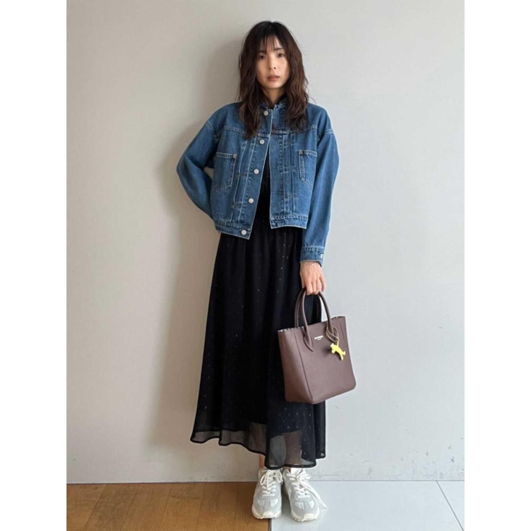 DRESSTERIOR「ヴィンテージバンドカラーGジャン」|デニムジャケット|