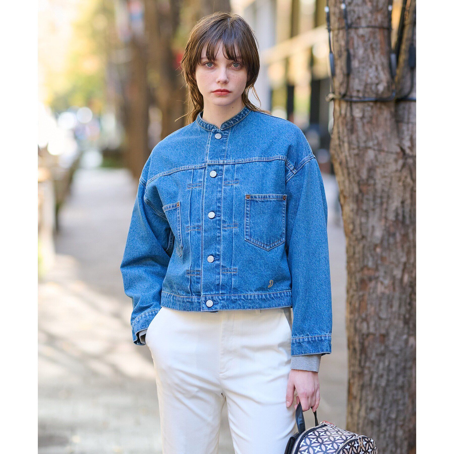 DRESSTERIOR「ヴィンテージバンドカラーGジャン」|デニムジャケット|