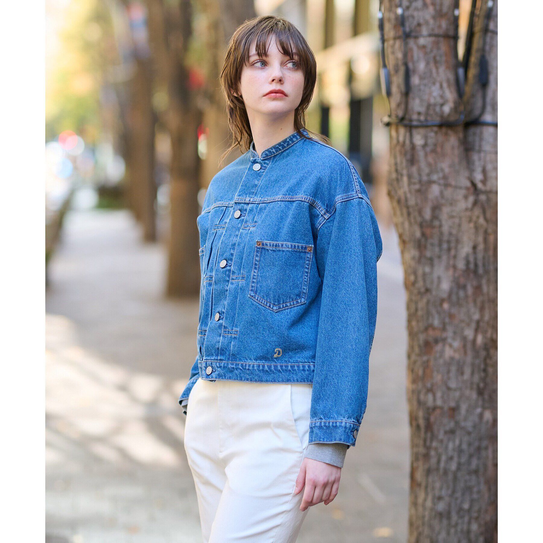 DRESSTERIOR「ヴィンテージバンドカラーGジャン」|デニムジャケット|