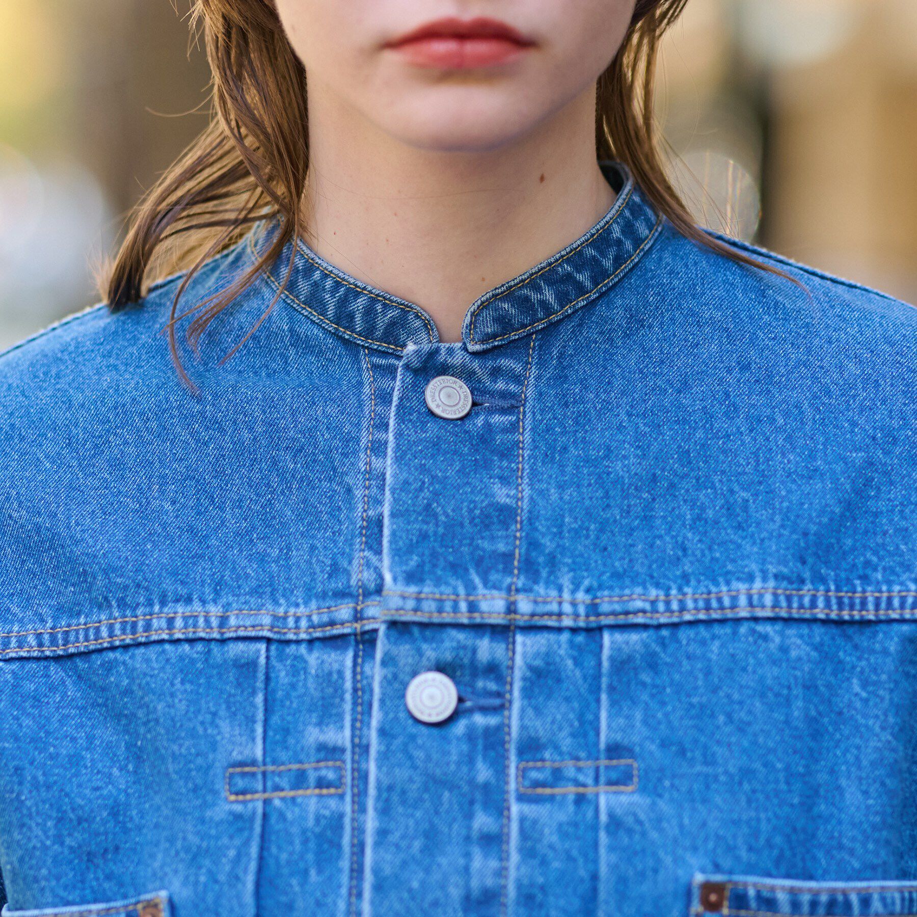 DRESSTERIOR「ヴィンテージバンドカラーGジャン」|デニムジャケット|