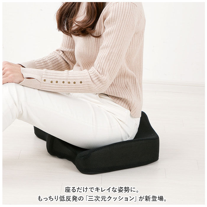 BACKYARD FAMILY「クッション 低反発 通販 もっちり低反発 三次元クッション 椅子クッション イス いす」|その他|