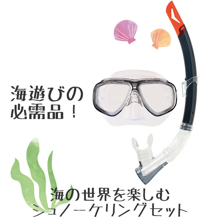 BACKYARD FAMILY「シュノーケル セット 通販 シュノーケルセット スイムセット 大人 シュノーケル セット メンズ」|その他|