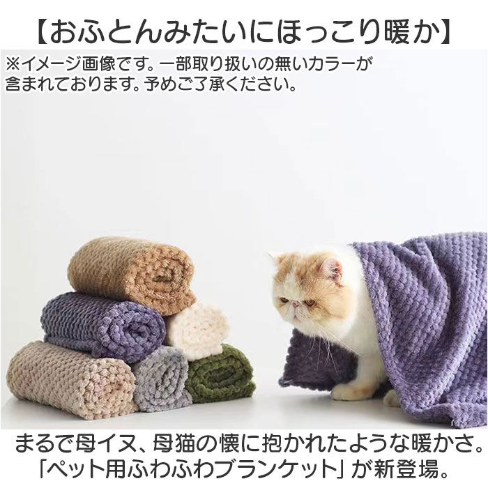 BACKYARD FAMILY「ペット ブランケット 通販 ペット毛布 毛布 犬毛布 猫毛布 暖かい ペットマット 無地 シンプル」|その他|