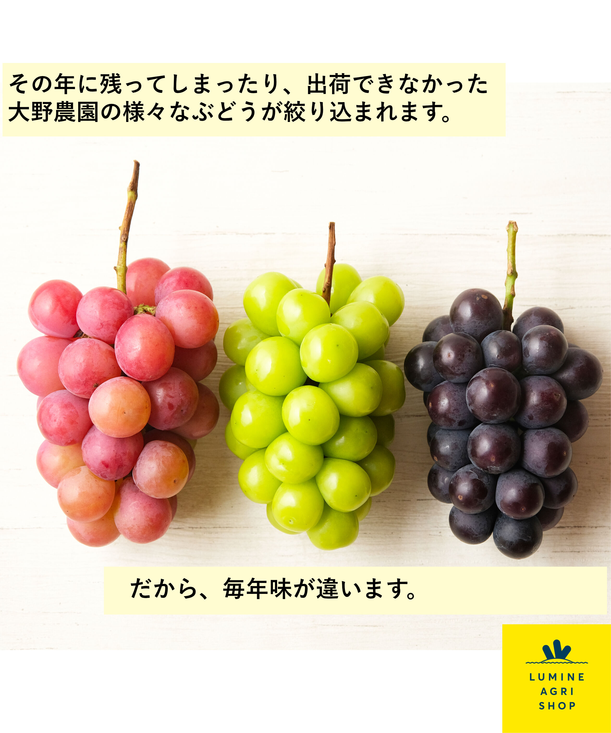 LUMINE AGRI SHOP「大野農園の100％ぶどうジュース「縄文」」|水・飲料・コーヒー・紅茶|
