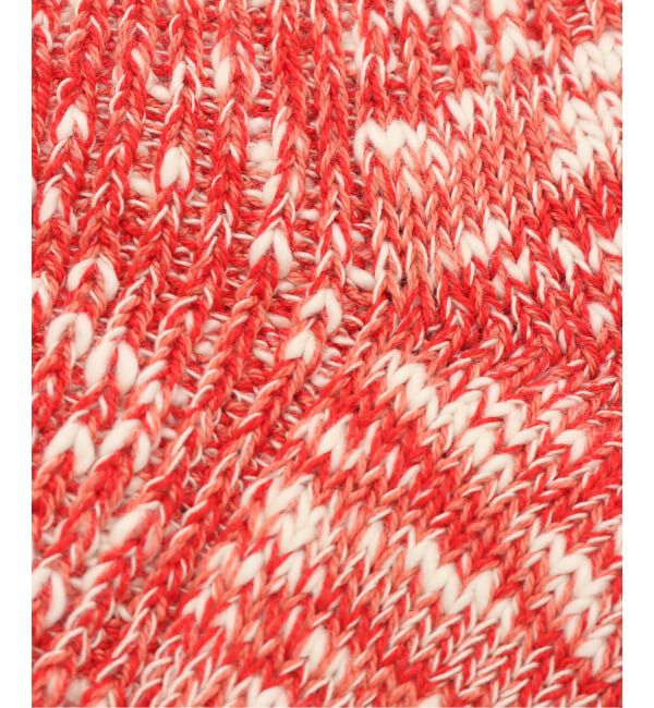 JOURNAL STANDARD「【ROSTER SOX / ロスターソックス 】 BIG SLUB 60 RIB」|ソックス|