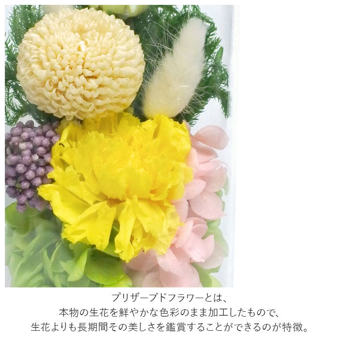 BACKYARD FAMILY「プリザーブドフラワー 仏花 通販 お供えガラスドーム 光莉 ひかり お供え物 おしゃれ 枯れない」|その他|