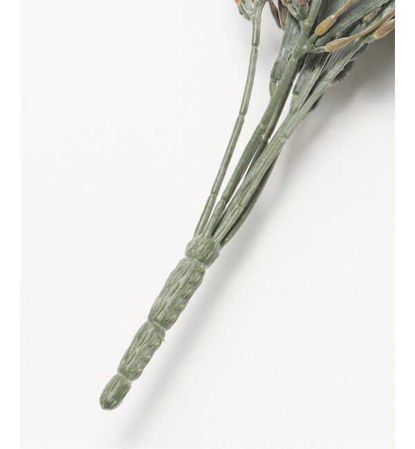 journal standard Furniture「【Brown./ブラウン】ビカクシダ ハンギングブッシュブルー　フェイクグリーン」|その他|