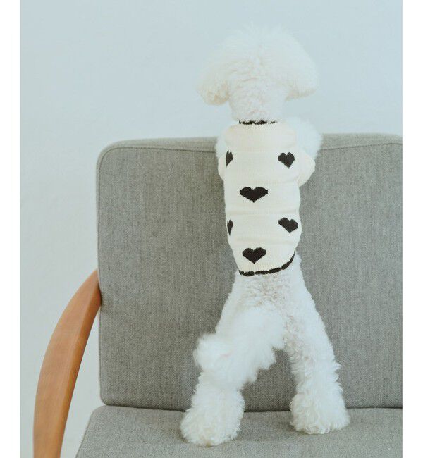 ROPE PICNIC PASSAGE「【DOG】ランダムハートニット」|その他|ブラック(01)