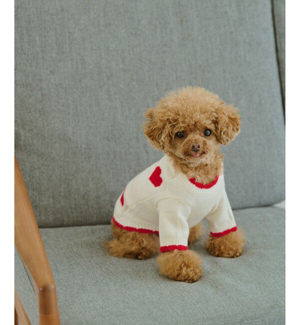 ROPE PICNIC PASSAGE「【DOG】ランダムハートニット」|その他|