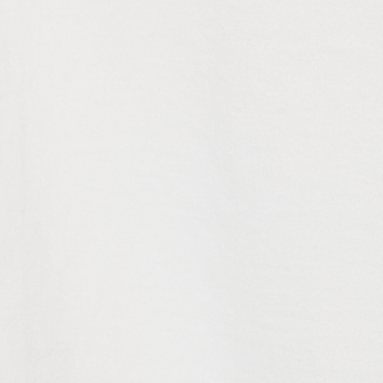  「REMI RELIEF LW加工 RMC PRINT TEE」|Tシャツ・カットソー|