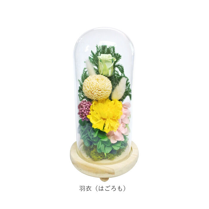 BACKYARD FAMILY「プリザーブドフラワー 仏花 通販 お供えガラスドーム 光莉 ひかり お供え物 おしゃれ 枯れない」|その他|