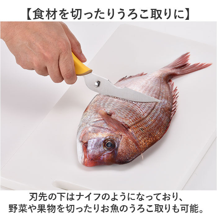 BACKYARD FAMILY「キッチンバサミ 分解 通販 多機能はさみ キッチンはさみ はさみ ハサミ 二つに分離 収納ケース」|食器・キッチングッズ|