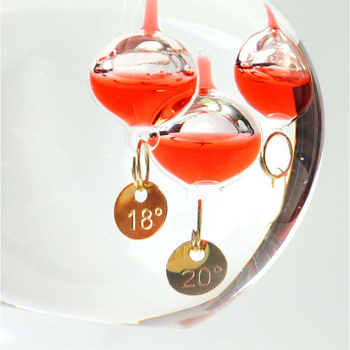 BACKYARD FAMILY「ガラスフロート温度計 りんご 通販 温度計 ガリレオ温度計 333-218 ガリレオサーモメーター」|その他|